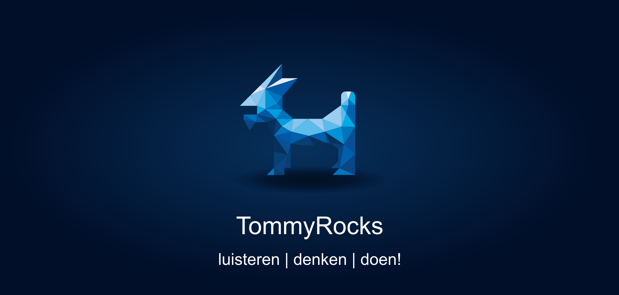 https://www.tommyrocks.nl/wp-content/uploads/2022/05/TommyRocks-background-1-Buddy-default-position-v2.png